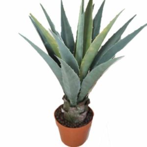 K129 PLANTA  ARTIFICIAL