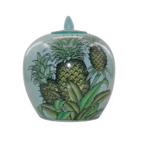 R2153 POTE DE CERAMICA