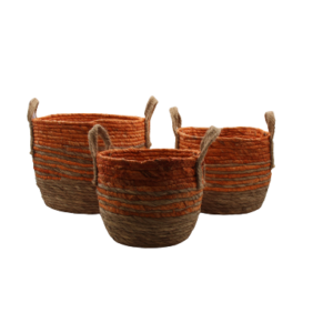 V1329 OBRA DE CESTARIA