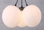 VS331 LUSTRE